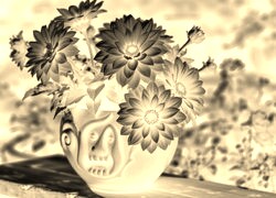 Sepia + Negatyw