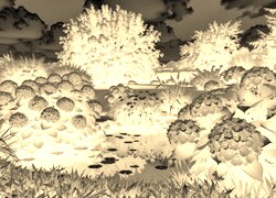 Sepia + Negatyw
