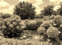 Szary + Sepia