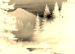 Sepia + Negatyw