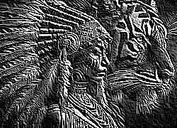 Skamielina