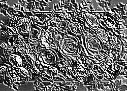 Skamielina