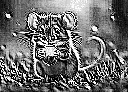 Skamielina