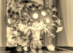 Sepia + Negatyw