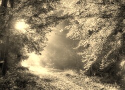Sepia