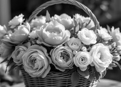 Szary