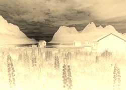 Sepia + Negatyw