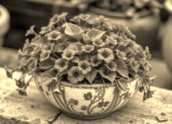 Szary + Sepia
