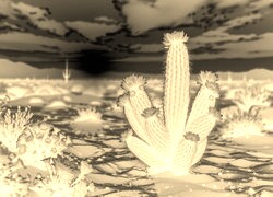 Sepia + Negatyw