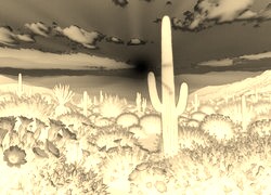 Sepia + Negatyw
