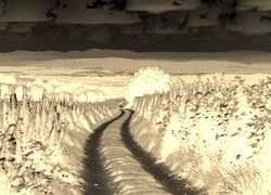 Sepia + Negatyw