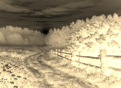 Sepia + Negatyw
