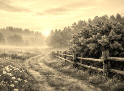 Sepia