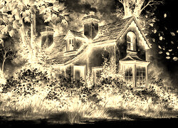 Sepia + Negatyw