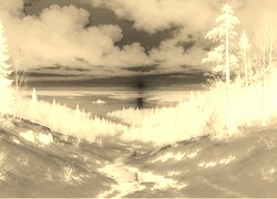 Sepia + Negatyw