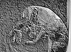 Skamielina