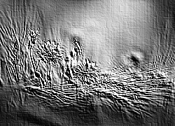 Skamielina