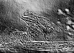 Skamielina