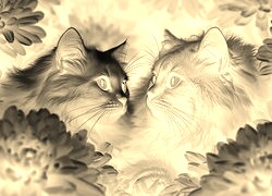 Sepia + Negatyw