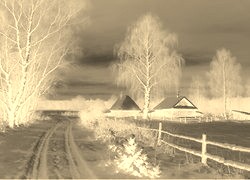 Sepia + Negatyw