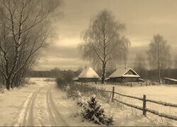 Szary + Sepia