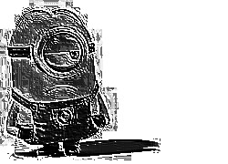 Skamielina