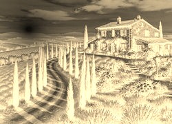Sepia + Negatyw