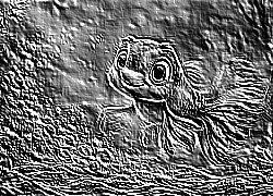 Skamielina