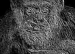 Skamielina