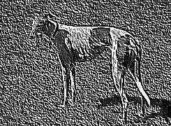 Skamielina