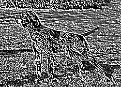 Skamielina