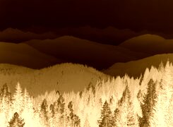 Sepia + Negatyw