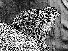 Skamielina
