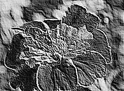 Skamielina