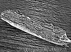Skamielina