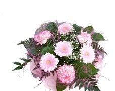 Oryginalny obrazek