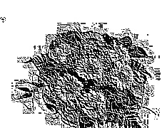 Skamielina