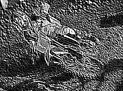 Skamielina
