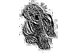 Skamielina