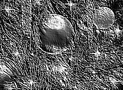 Skamielina
