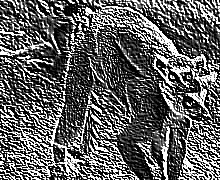 Skamielina