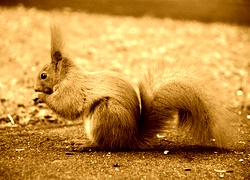 Sepia