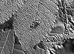 Skamielina
