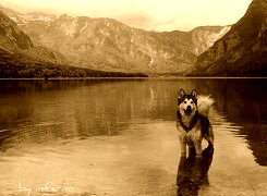 Sepia