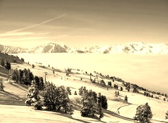 Sepia