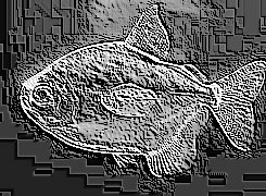 Skamielina