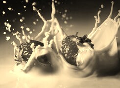 Szary + Sepia