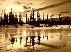 Sepia