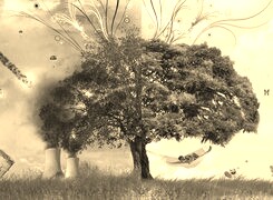 Szary + Sepia