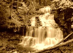 Sepia